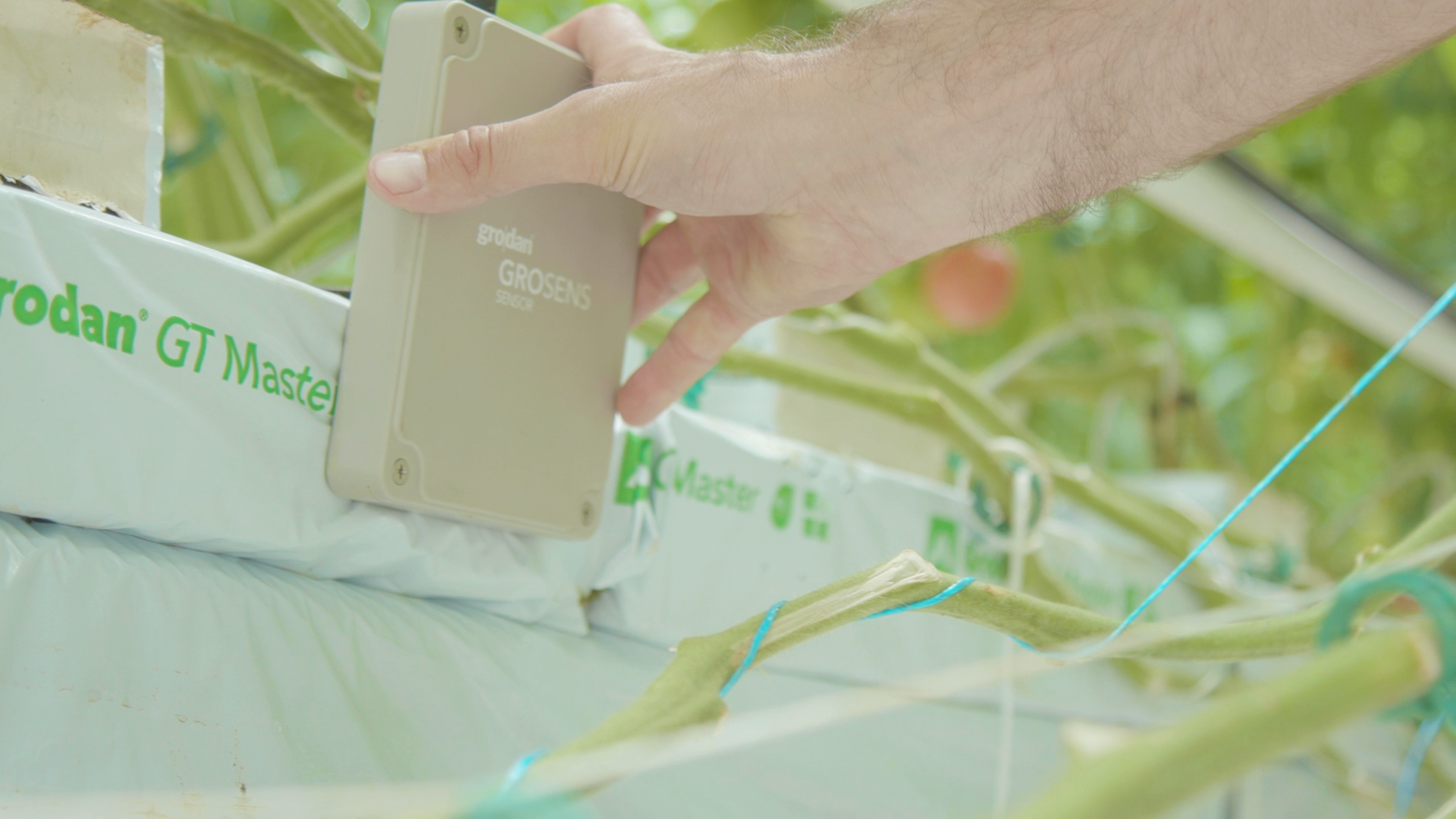 20201707_GR_PHO_5256