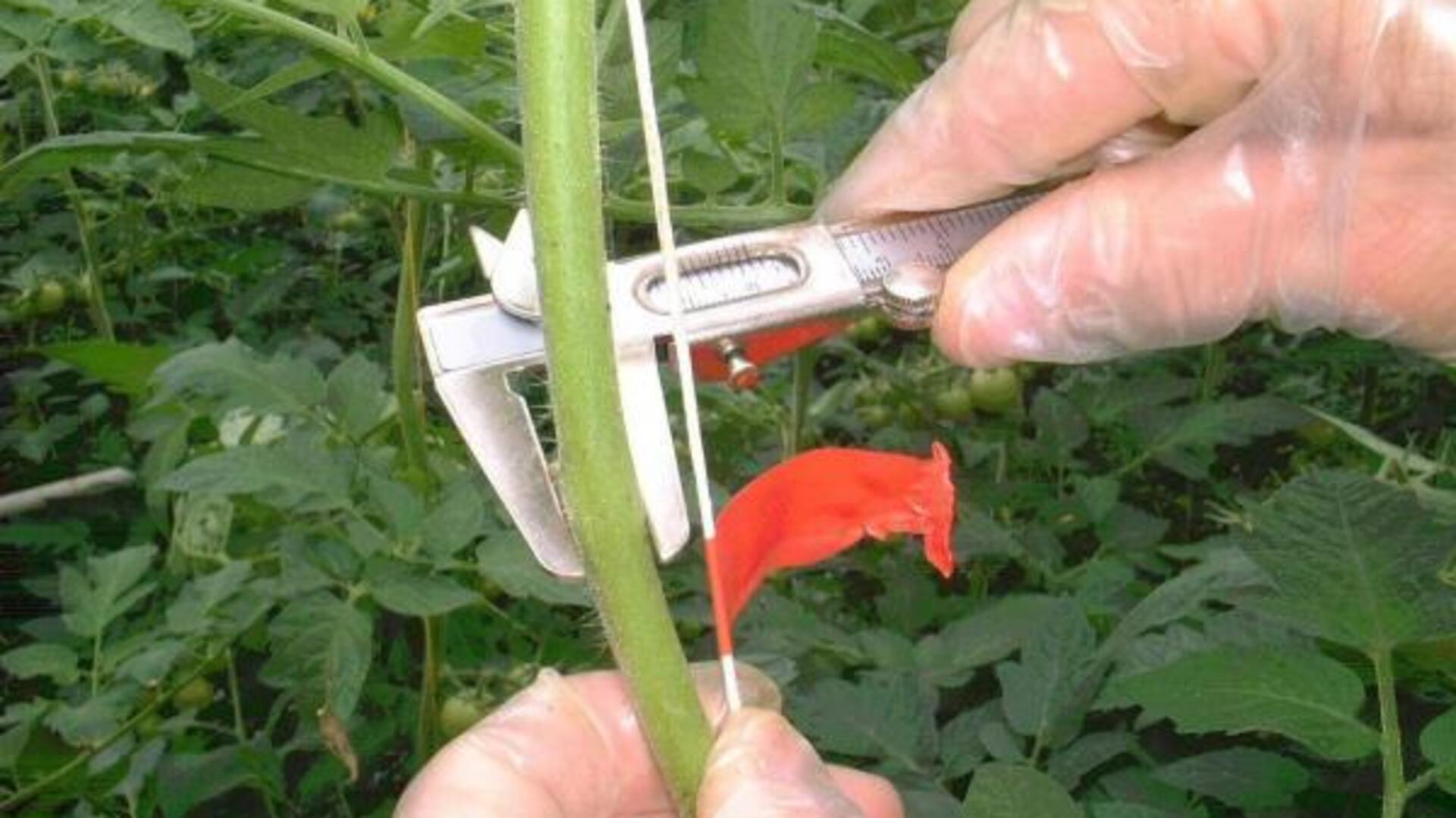 20210427 GR PHO 5432