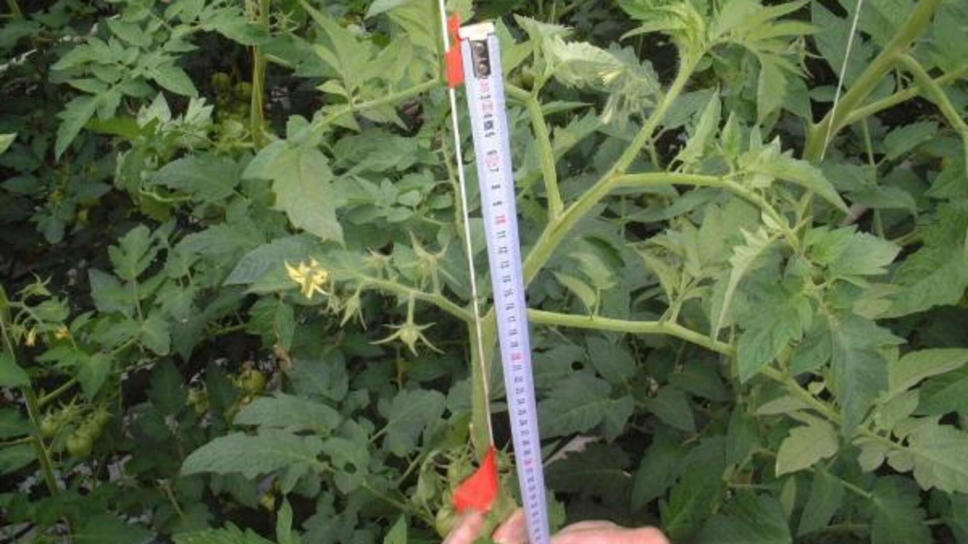 20210427 GR PHO 5433