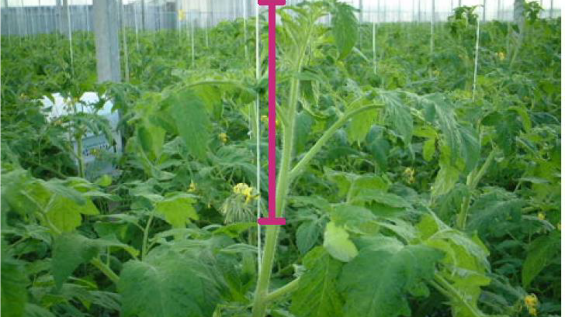 20210427 GR PHO 5434